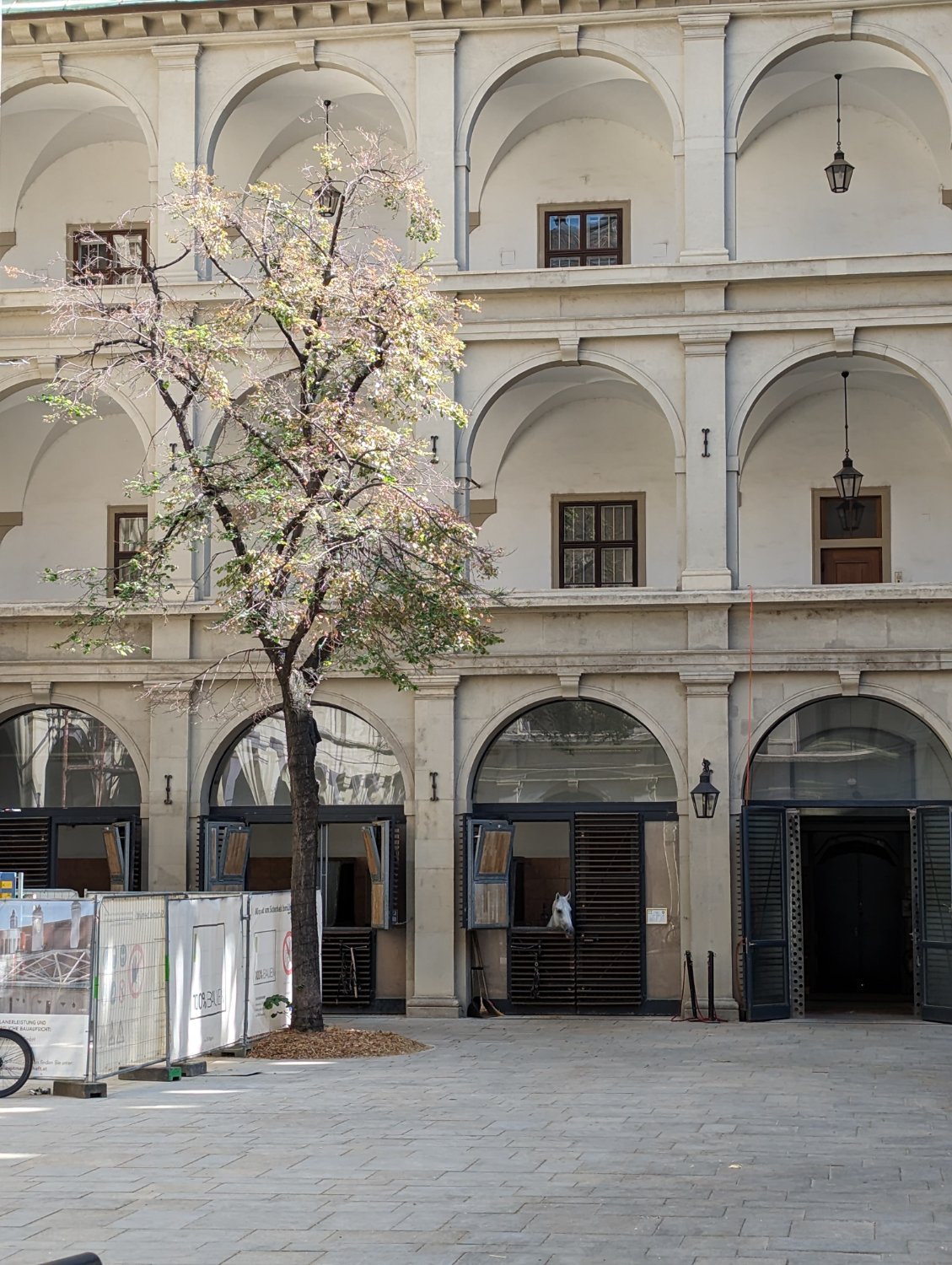 Solve spanish horse school 02 jigsaw puzzle online with 80 pieces