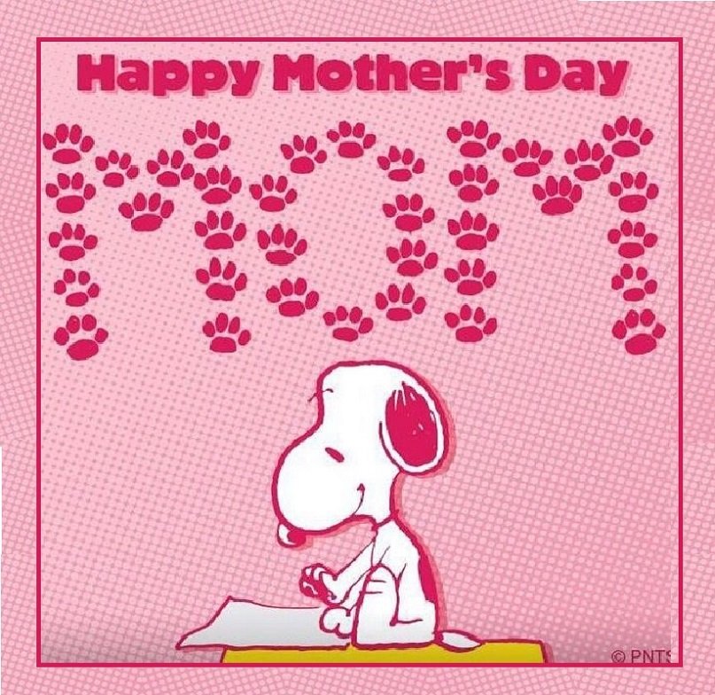 Solve Happy Mothers Day Pnts jigsaw puzzle online with 169 pieces