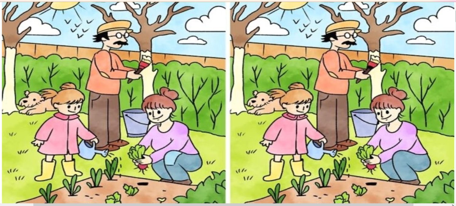 Solve Spot the 5 Differences jigsaw puzzle online with 21 pieces