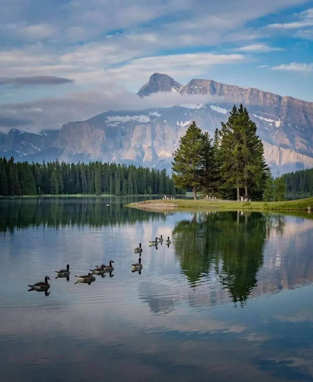 Solve Alberta jigsaw puzzle online with 80 pieces