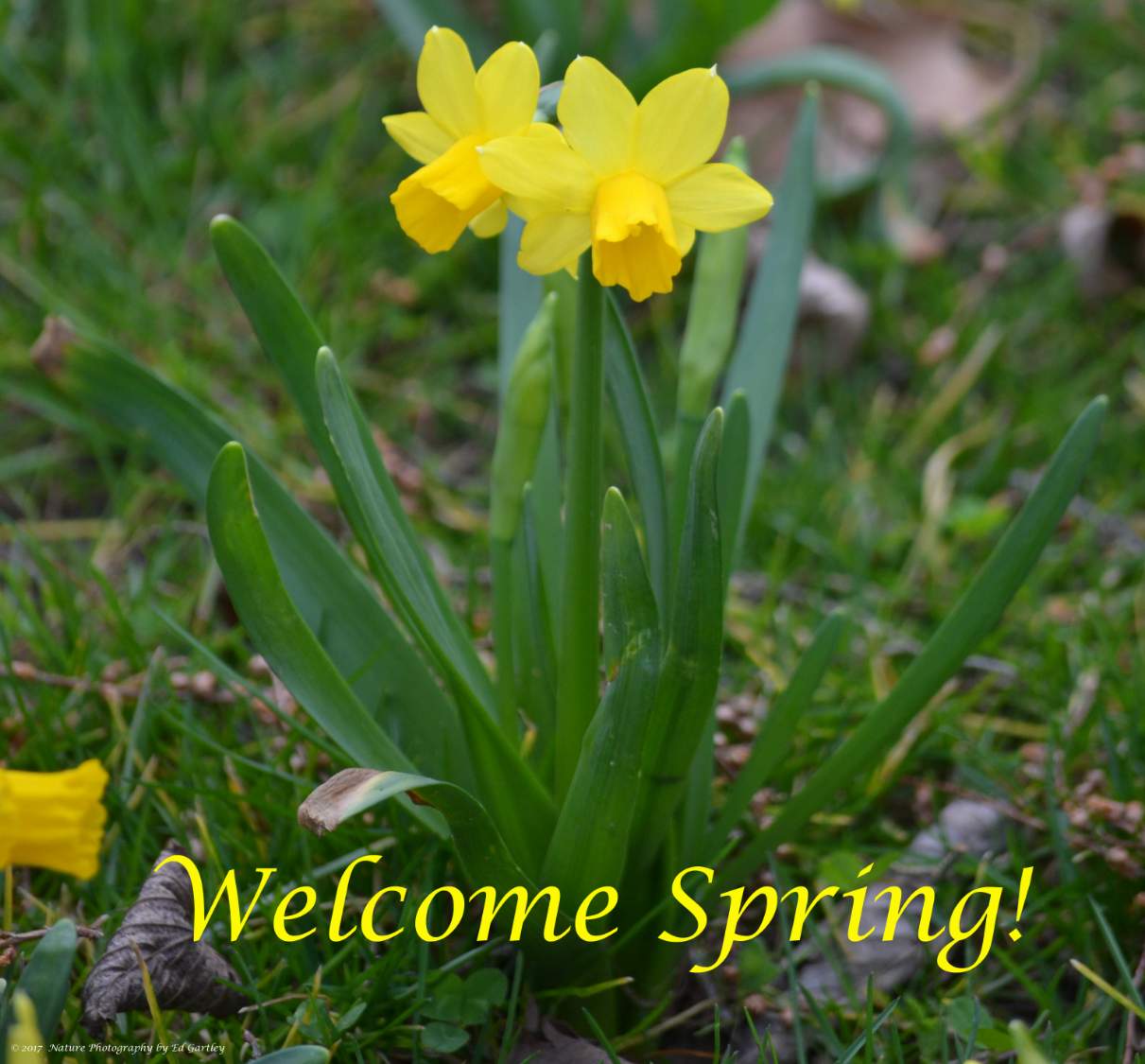 Welcom Spring Puzzle Solve Welcome Spring jigsaw puzzle online with 72 pieces