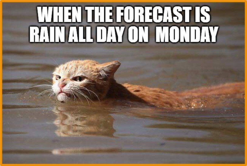 Solve Raining All Day Monday In Clearwater, FL! jigsaw puzzle online ...