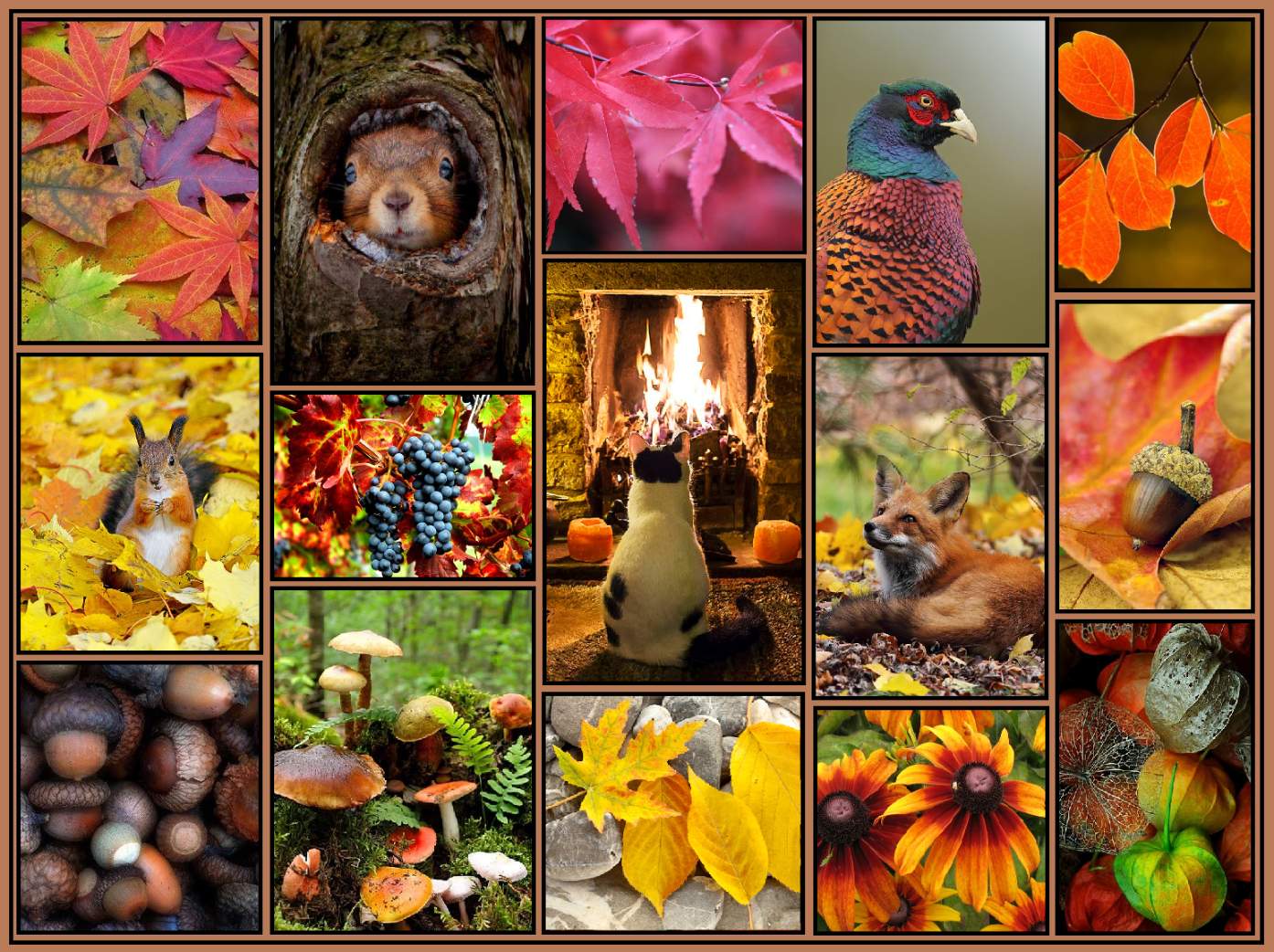 Solve Potpourri of autumn colours jigsaw puzzle online with 35 pieces