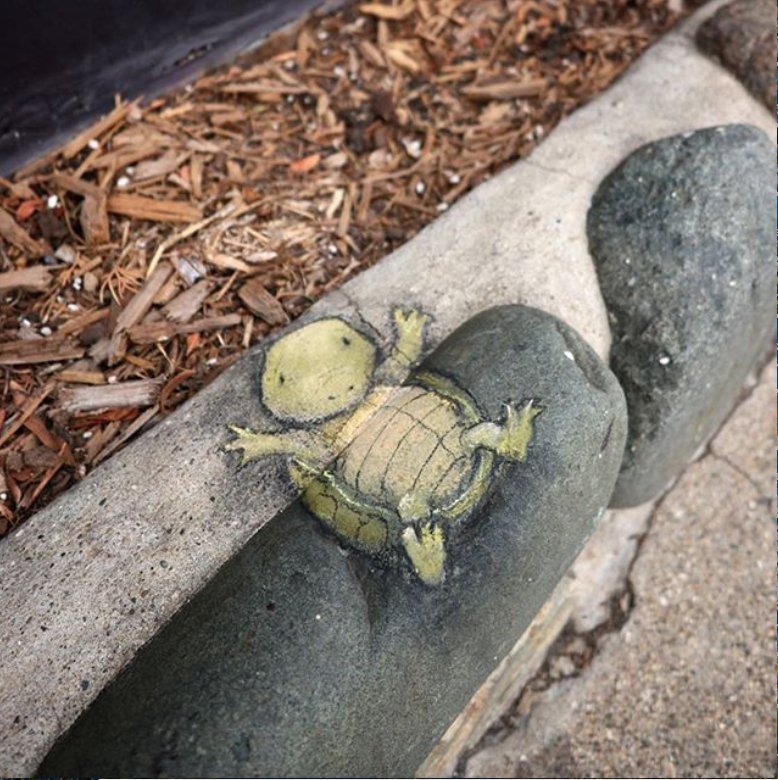 Solve Turn me over, please. jigsaw puzzle online with 25 pieces