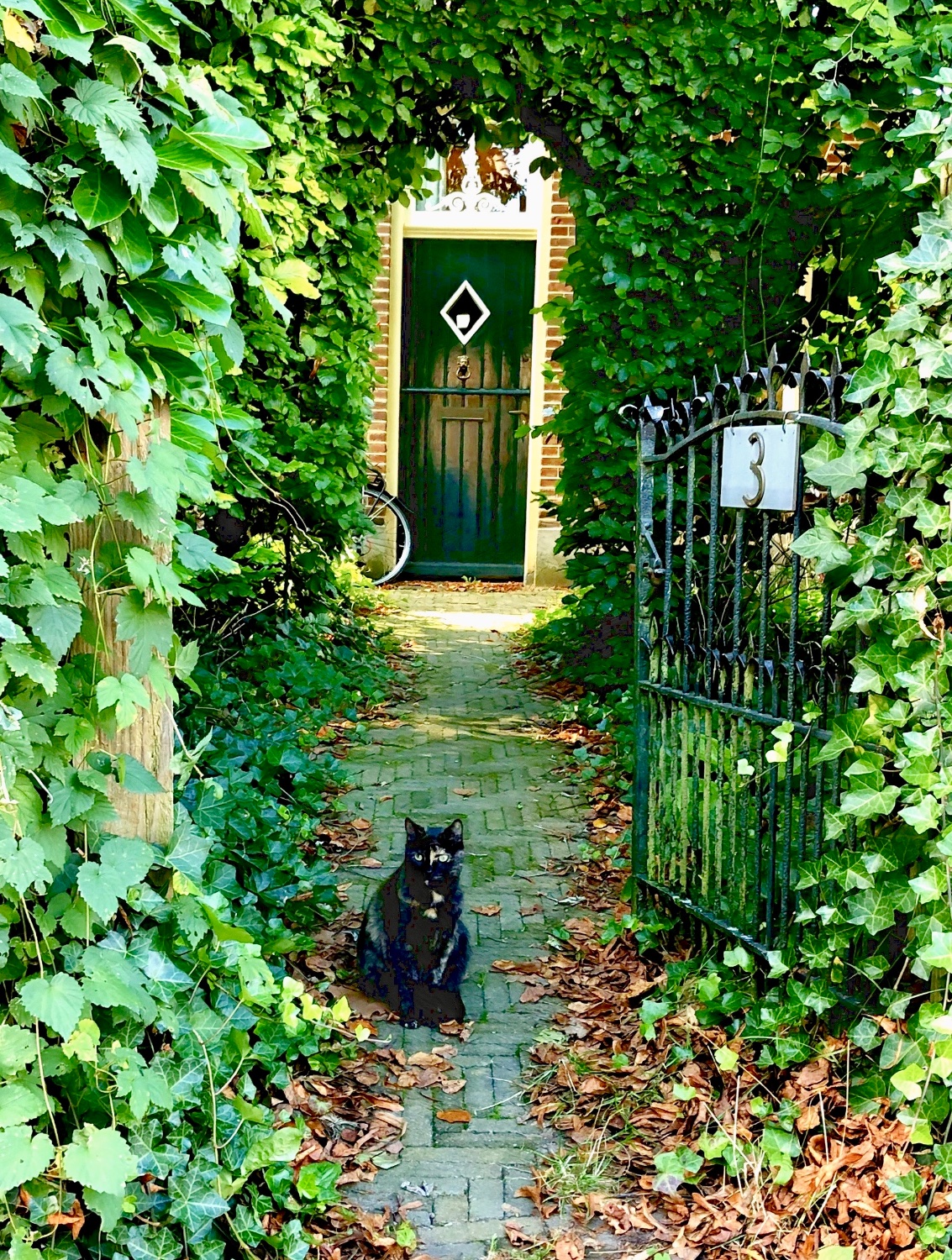 Jigsaw Puzzle 80 pieces Bronkhorst, the Netherlands Jigidi