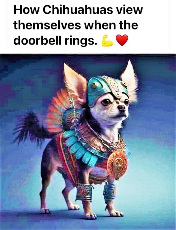 Solve HOW CHIHUAHUAS VIEW THEMSELVES WHEN THE DOORBELL RINGS jigsaw