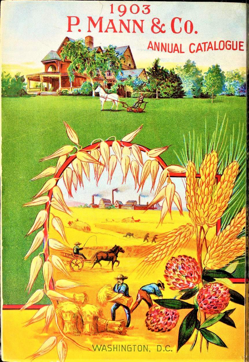 Solve Themes Vintage ads P. Mann & Co. Annual Catalogue 1903 jigsaw