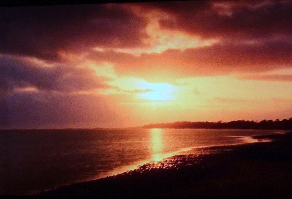 Solve Apalachicola River NW Gulf coast panhandle area of Florida jigsaw