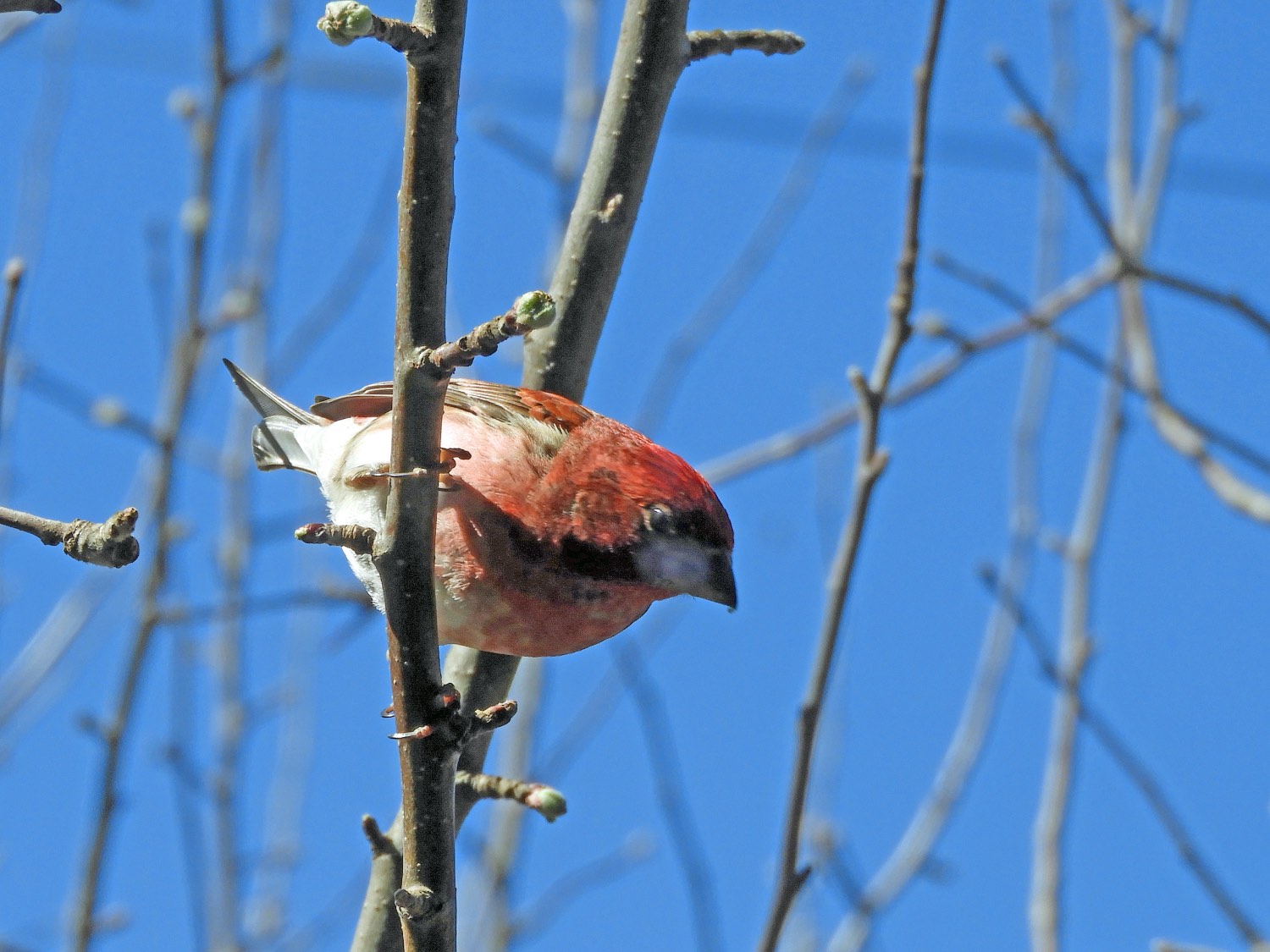 Solve Inside out, upside down! jigsaw puzzle online with 20 pieces