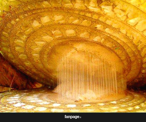 Solve A Banana Under A Microscope Jigsaw Puzzle Online With 42 Pieces