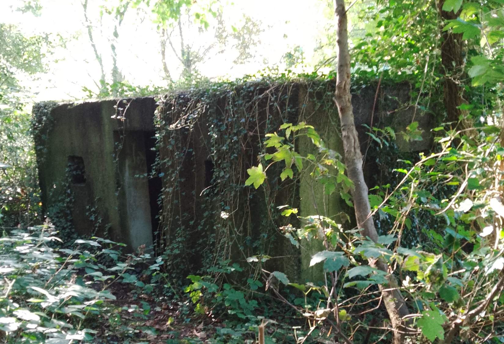 Solve Hidden wartime building Ellesmere. jigsaw puzzle online with 126