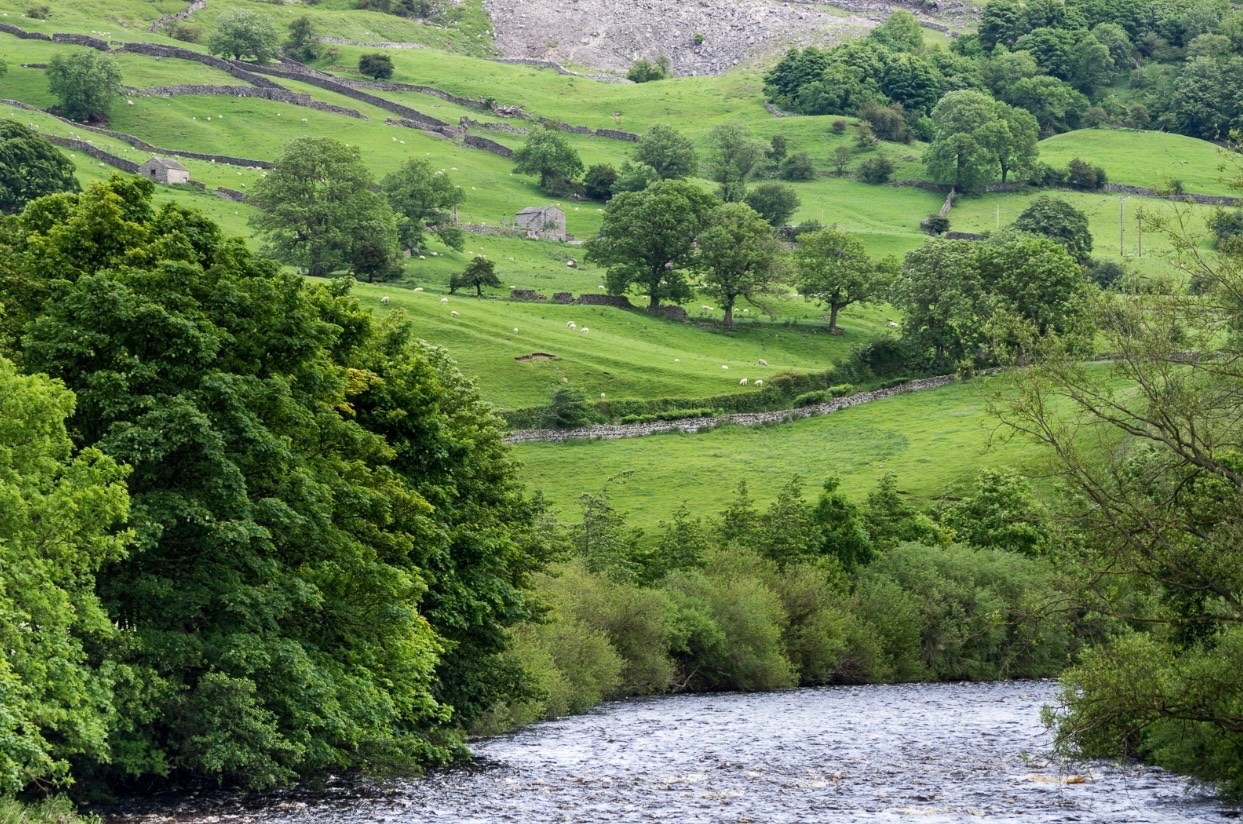 Solve River Swale at Grinton, Yorkshire Dales, ENGLAND 🇬🇧 jigsaw puzzle ...