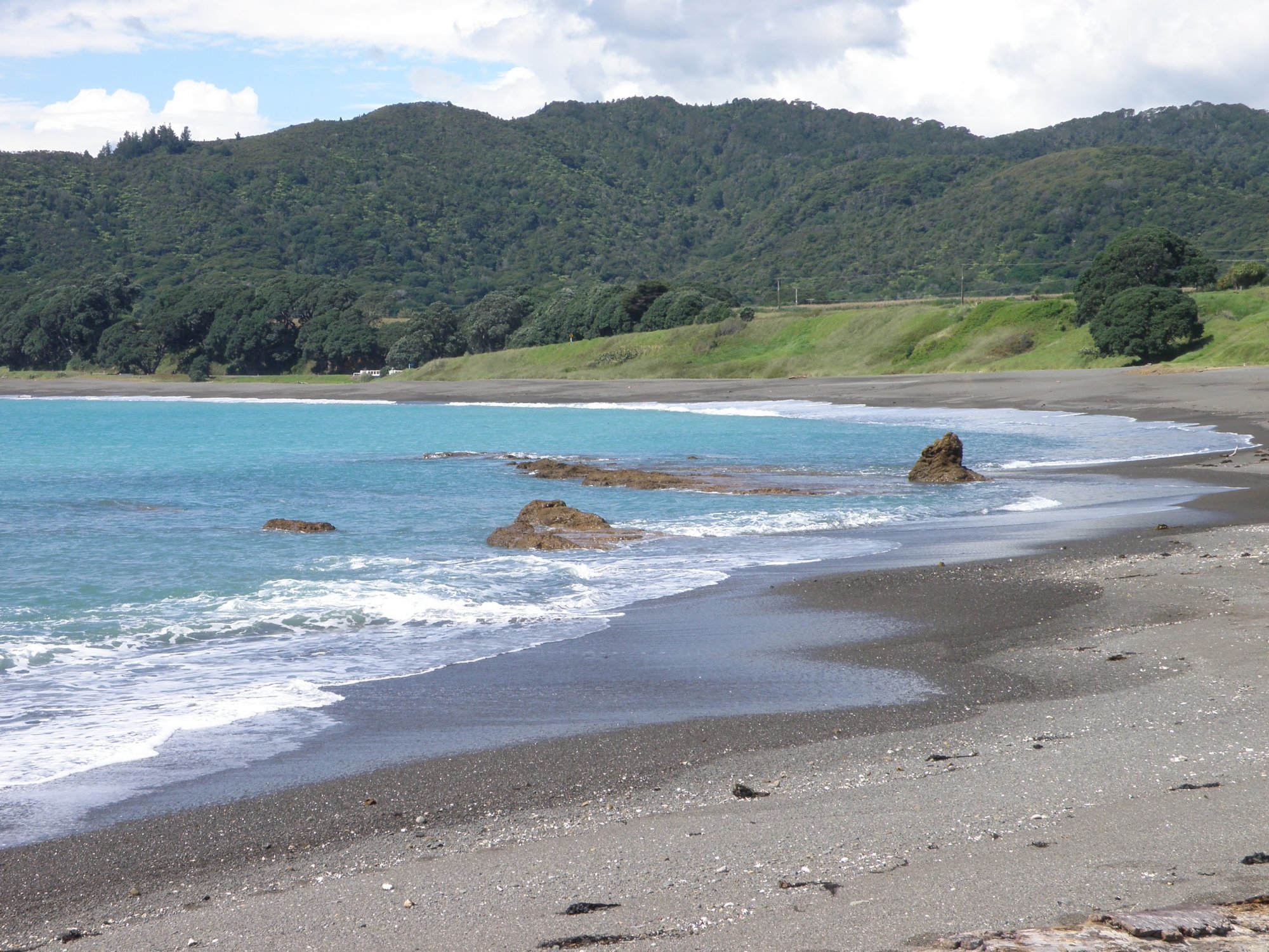 Solve NZ jigsaw puzzle online with 391 pieces