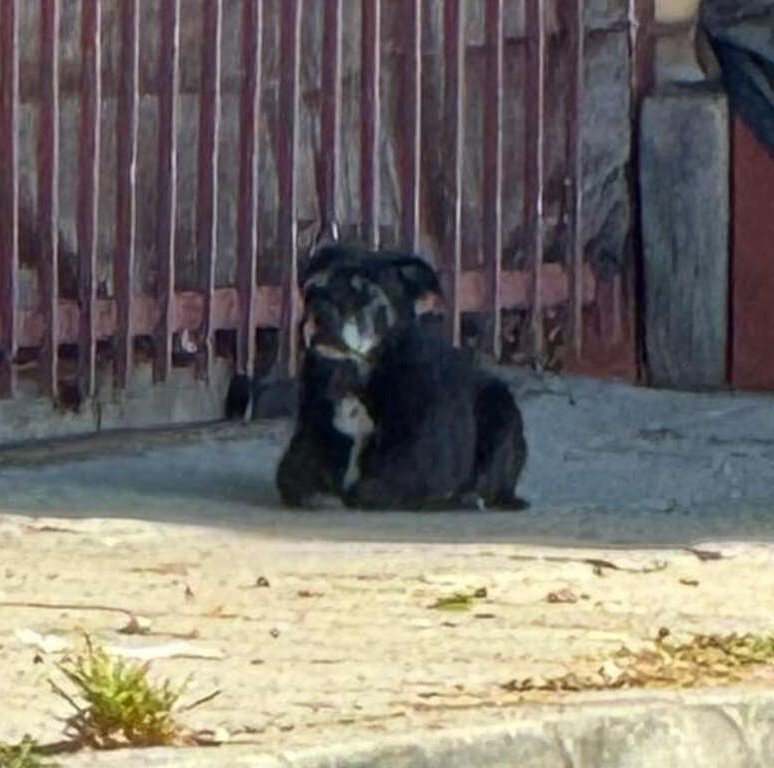 Solve Just waiting jigsaw puzzle online with 25 pieces