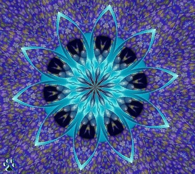 Solve blue ribbon jigsaw puzzle online with 20 pieces