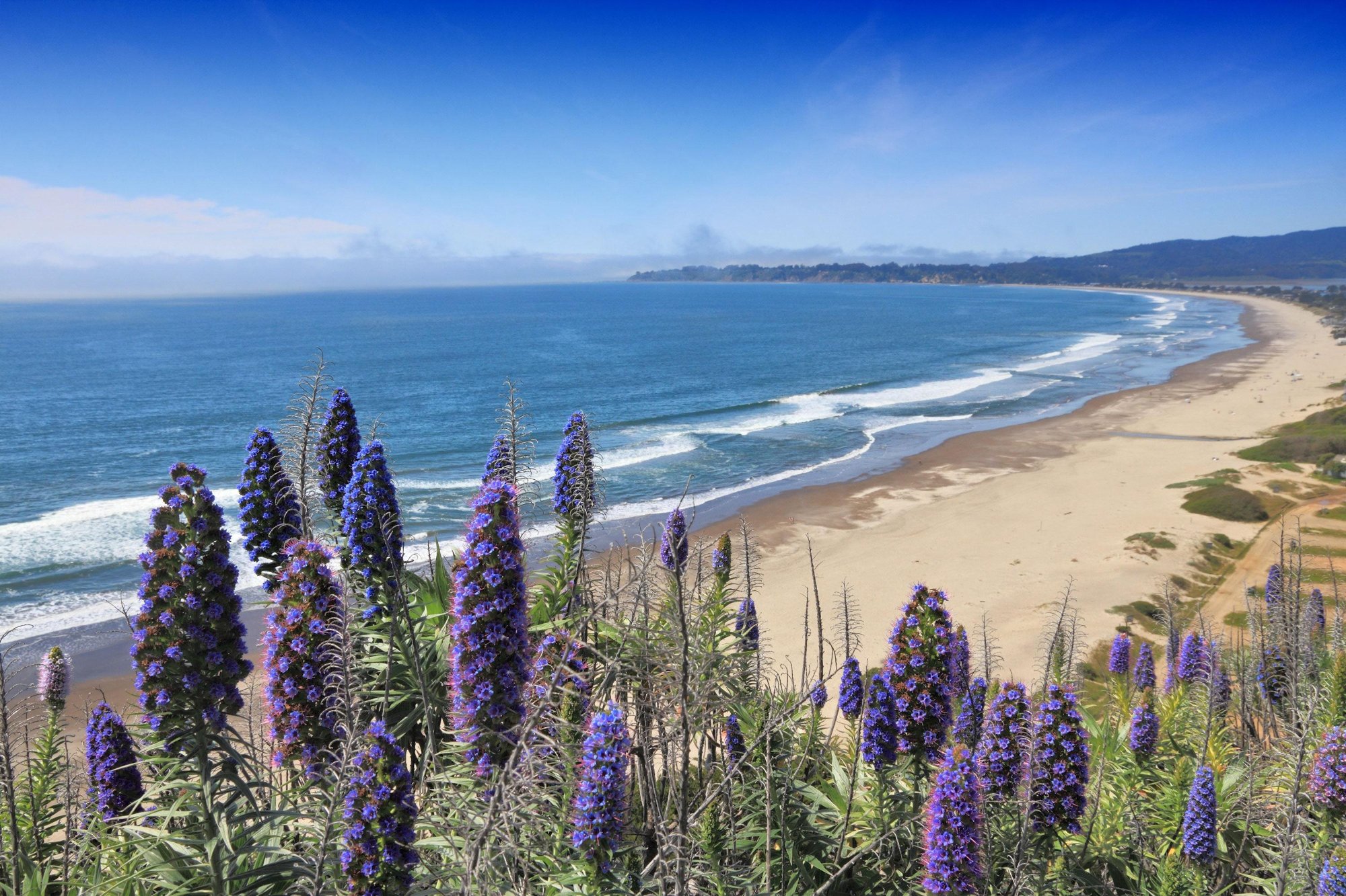 Solve California Coast 🏄🏻 jigsaw puzzle online with 126 pieces