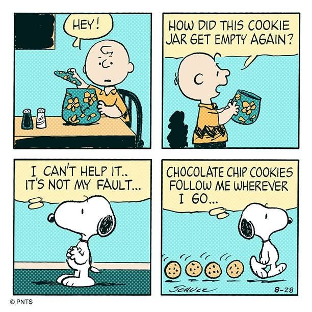 Solve Poor Snoopy! 😂😂 jigsaw puzzle online with 25 pieces