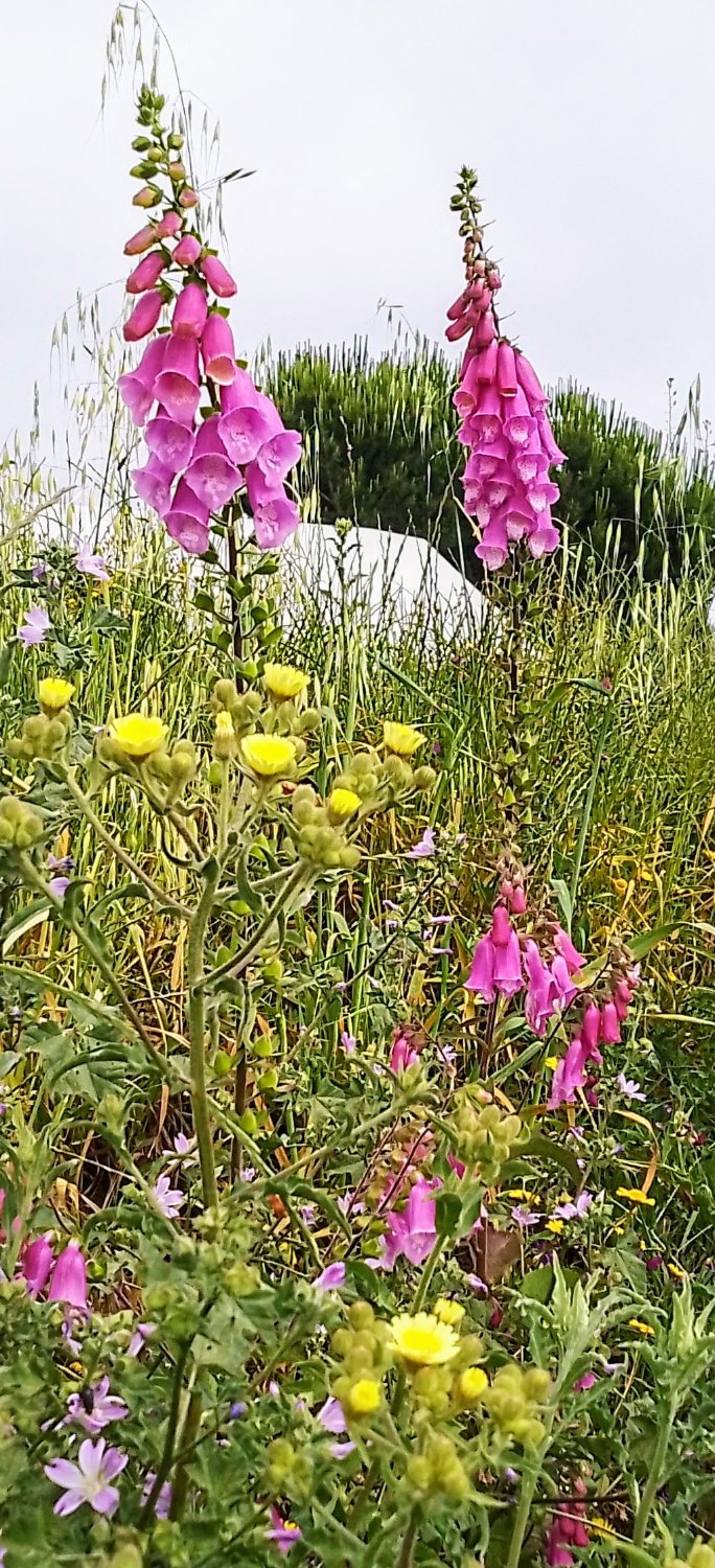 Solve Energy jigsaw puzzle online with 98 pieces