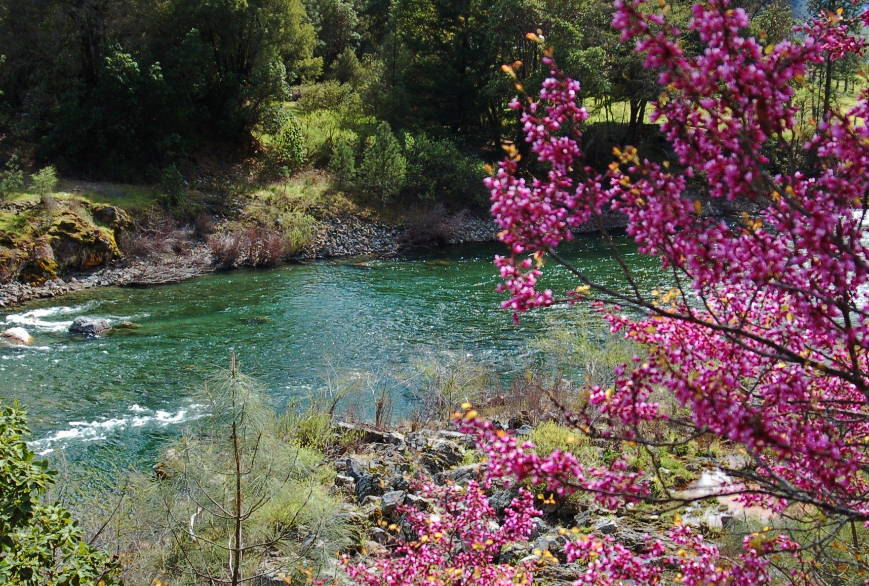 Solve california (resize 12 to 580) jigsaw puzzle online with 54 pieces