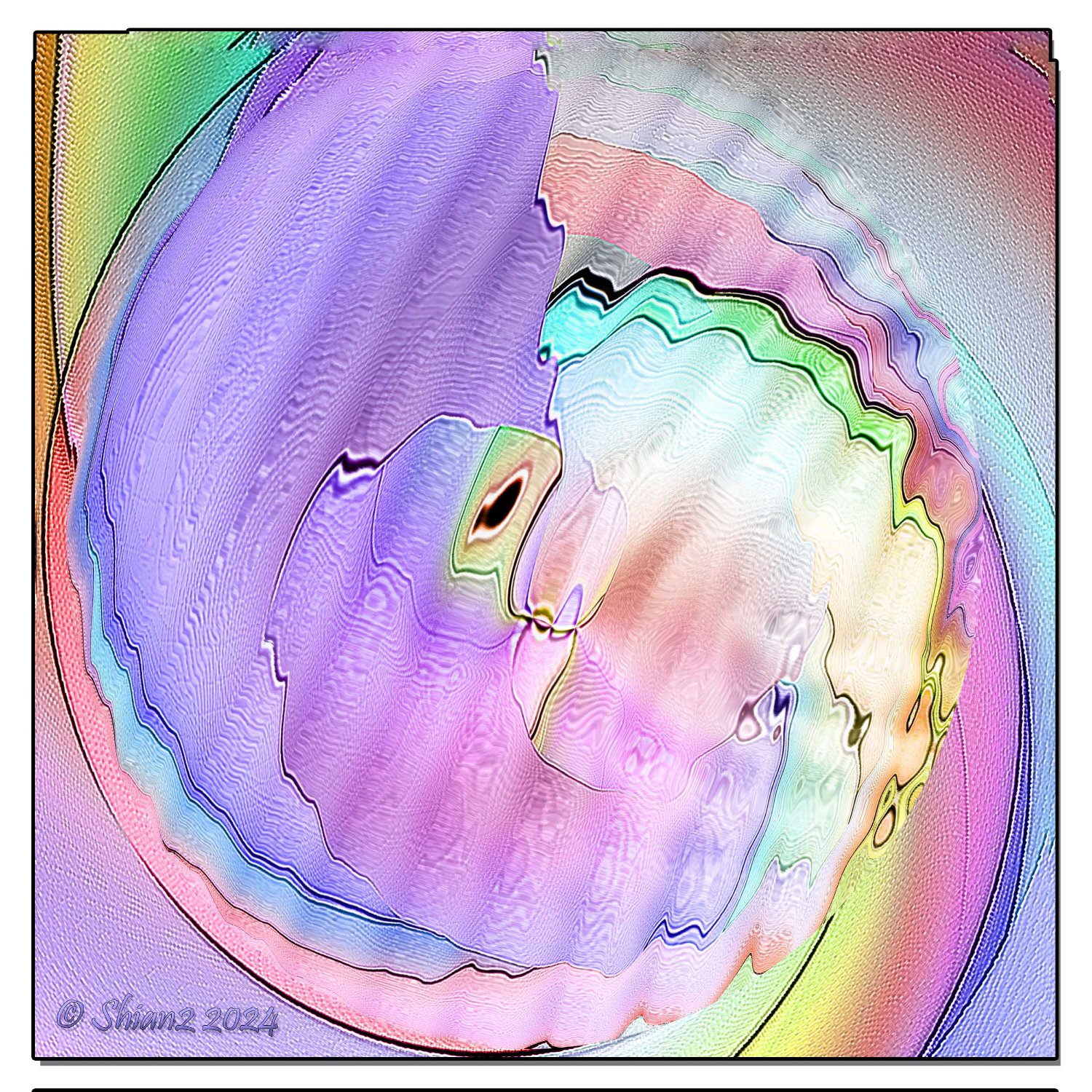 Solve Sea Shell jigsaw puzzle online with 144 pieces