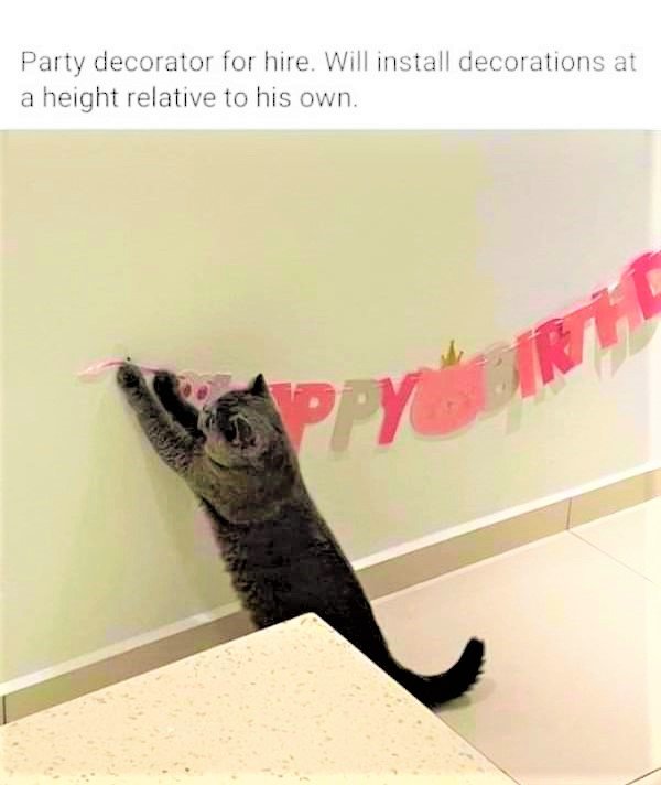 Solve Party Decorator for hire jigsaw puzzle online with 9 pieces