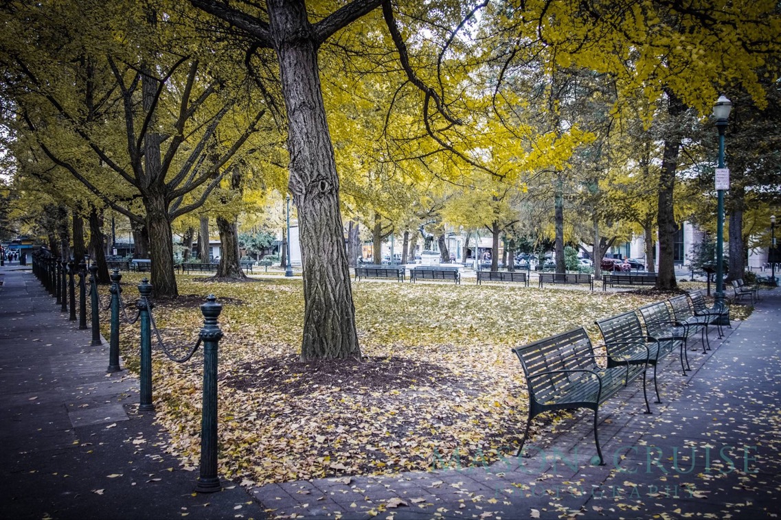 Solve Chapman Square jigsaw puzzle online with 35 pieces