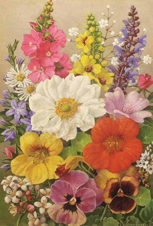 原画『flower, j'.』 武田鉄平『FLOWERS』: 9784908600074: Books - Amazon.ca