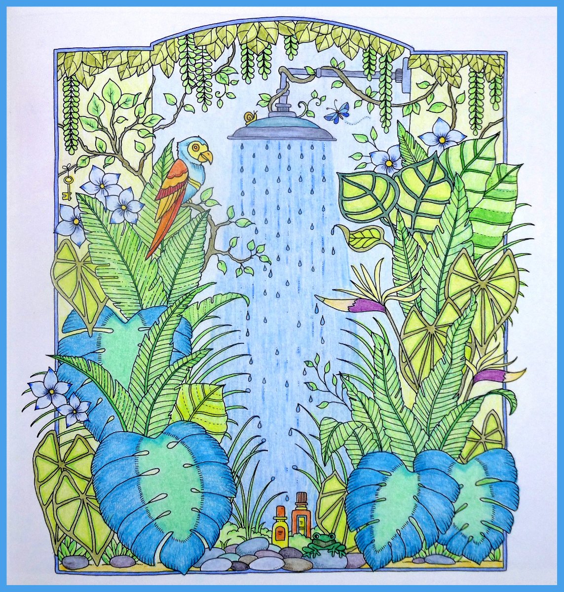 Solve Self colored drawings, from the book by Johanna Basford. jigsaw