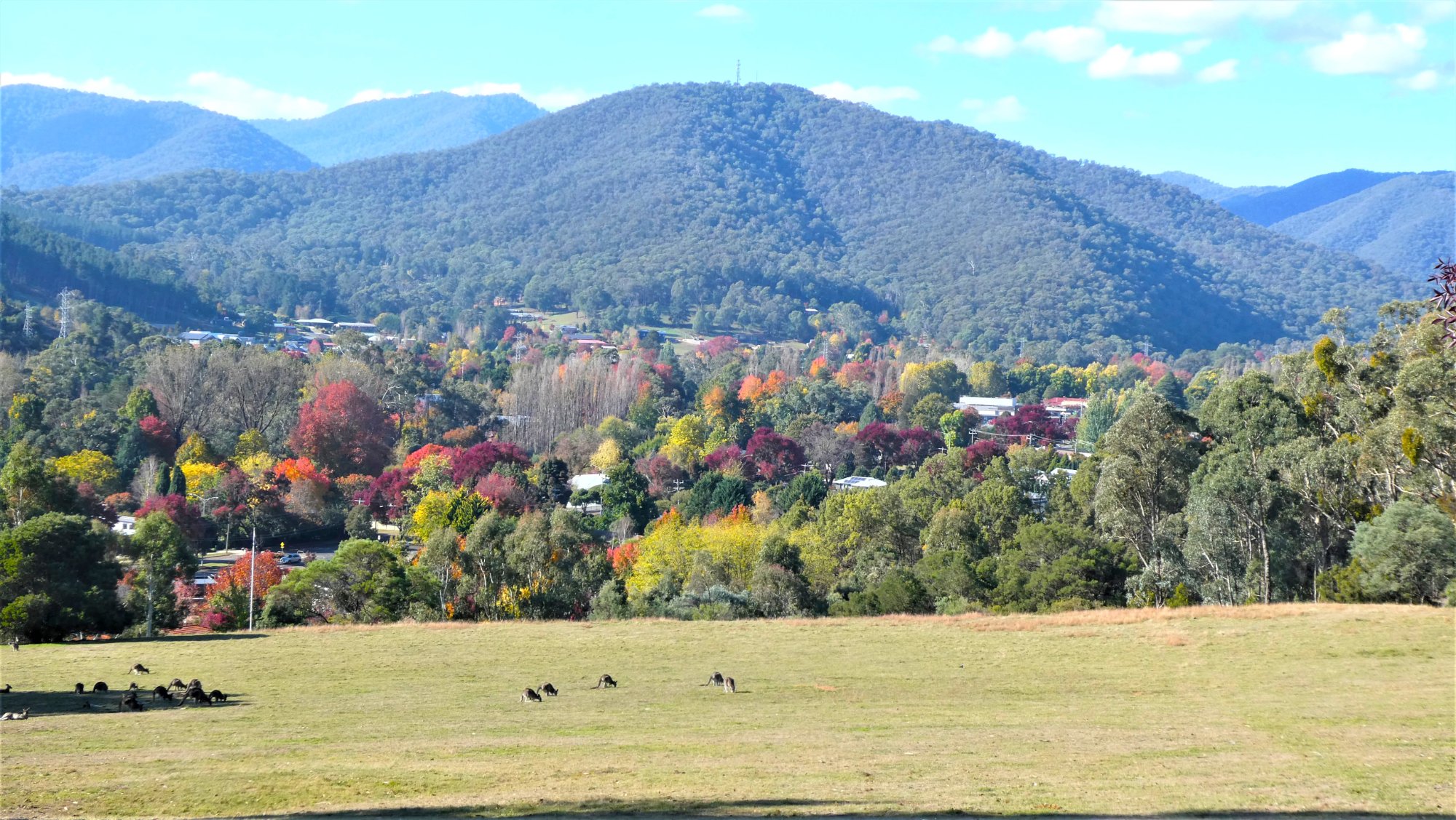 Solve Bright, Victoria, Australia jigsaw puzzle online with 153 pieces