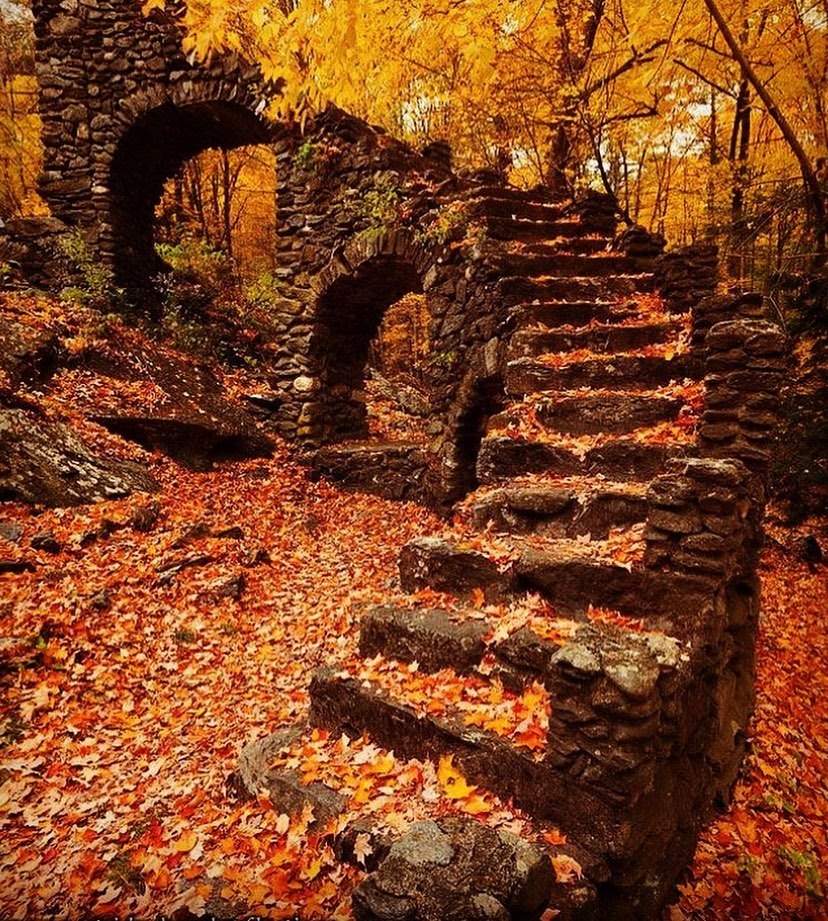 Solve Autumn Staircase jigsaw puzzle online with 210 pieces