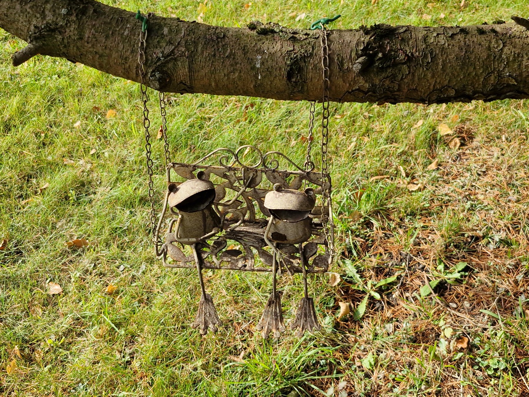 Solve Frogs Jigsaw Puzzle Online With 63 Pieces