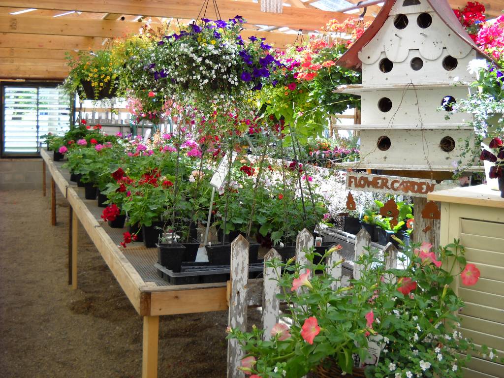 Solve Thomfordes Garden Center in Crookston, MN jigsaw puzzle online