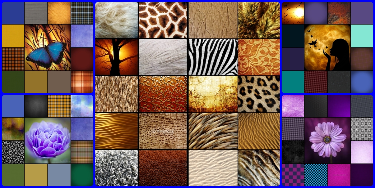 Solve Rules of the Wild jigsaw puzzle online with 200 pieces