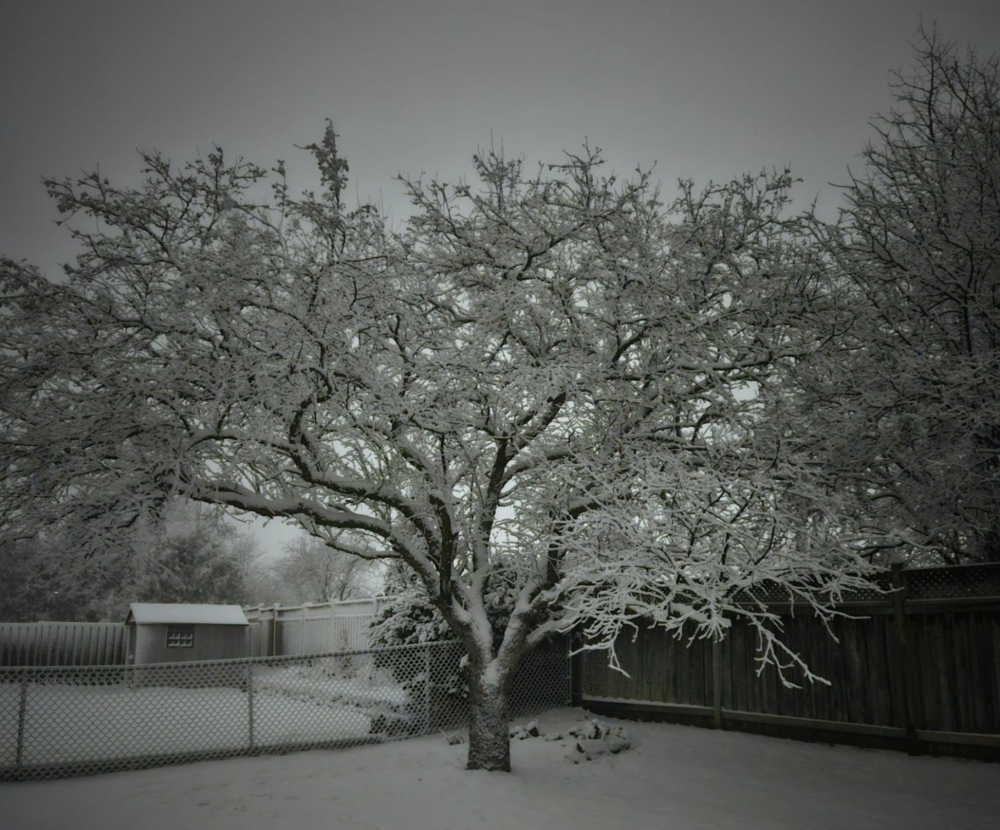 Solve Marie and Bill's garden Ontario February 2024