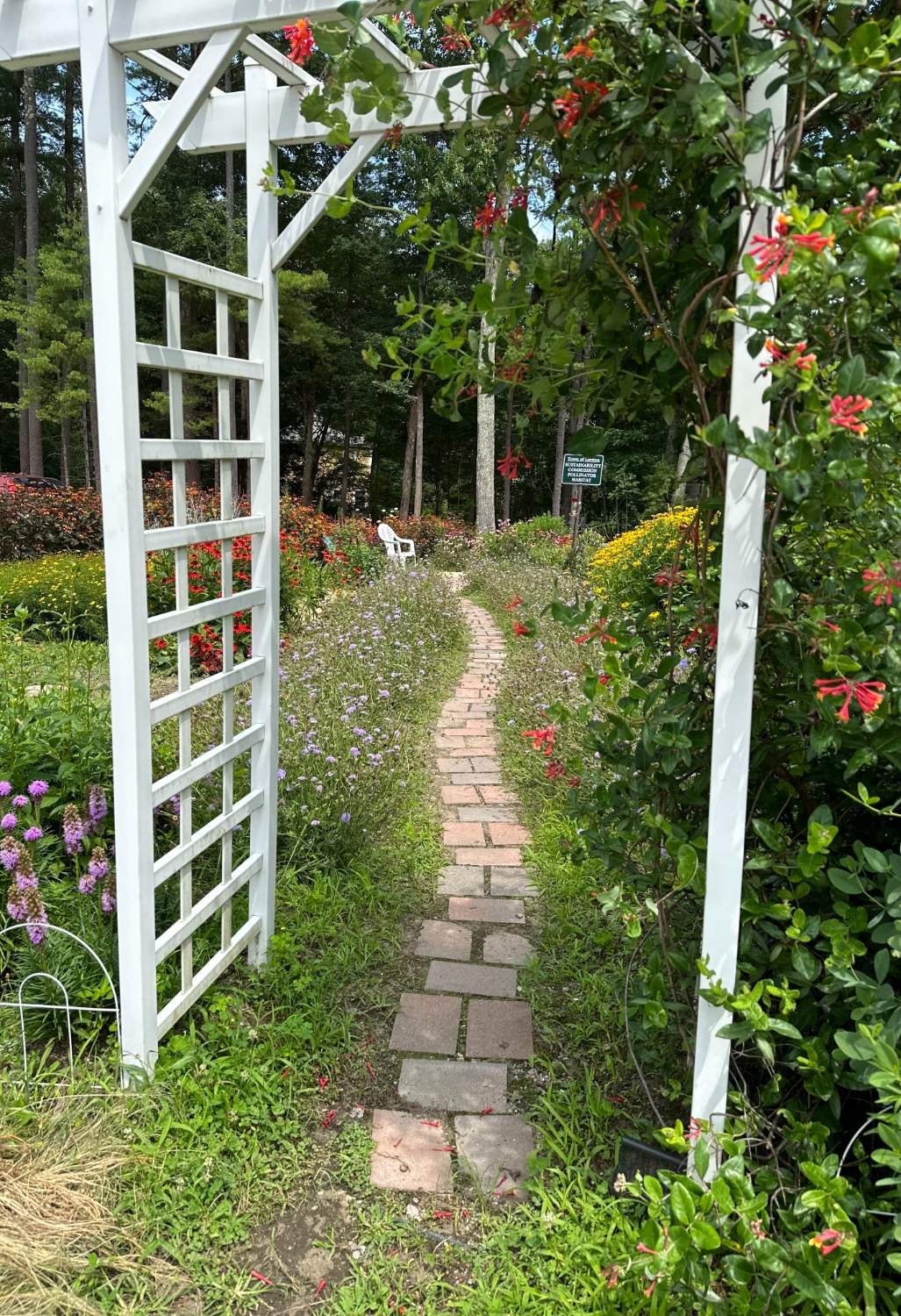 Solve Sustainability Garden jigsaw puzzle online with 117 pieces