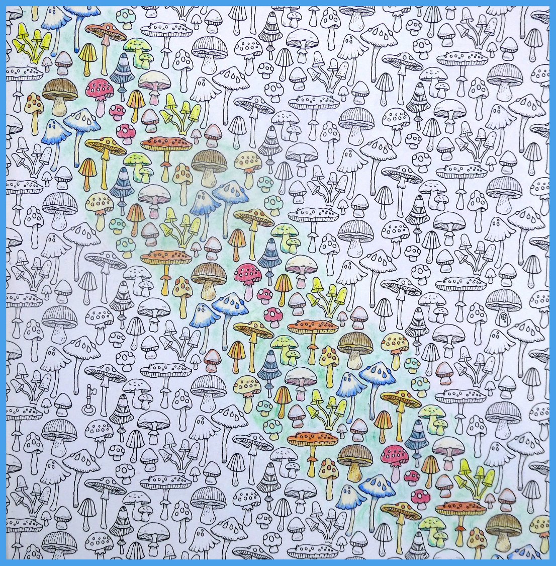 Solve Self colored drawings, from the book by Johanna Basford. jigsaw