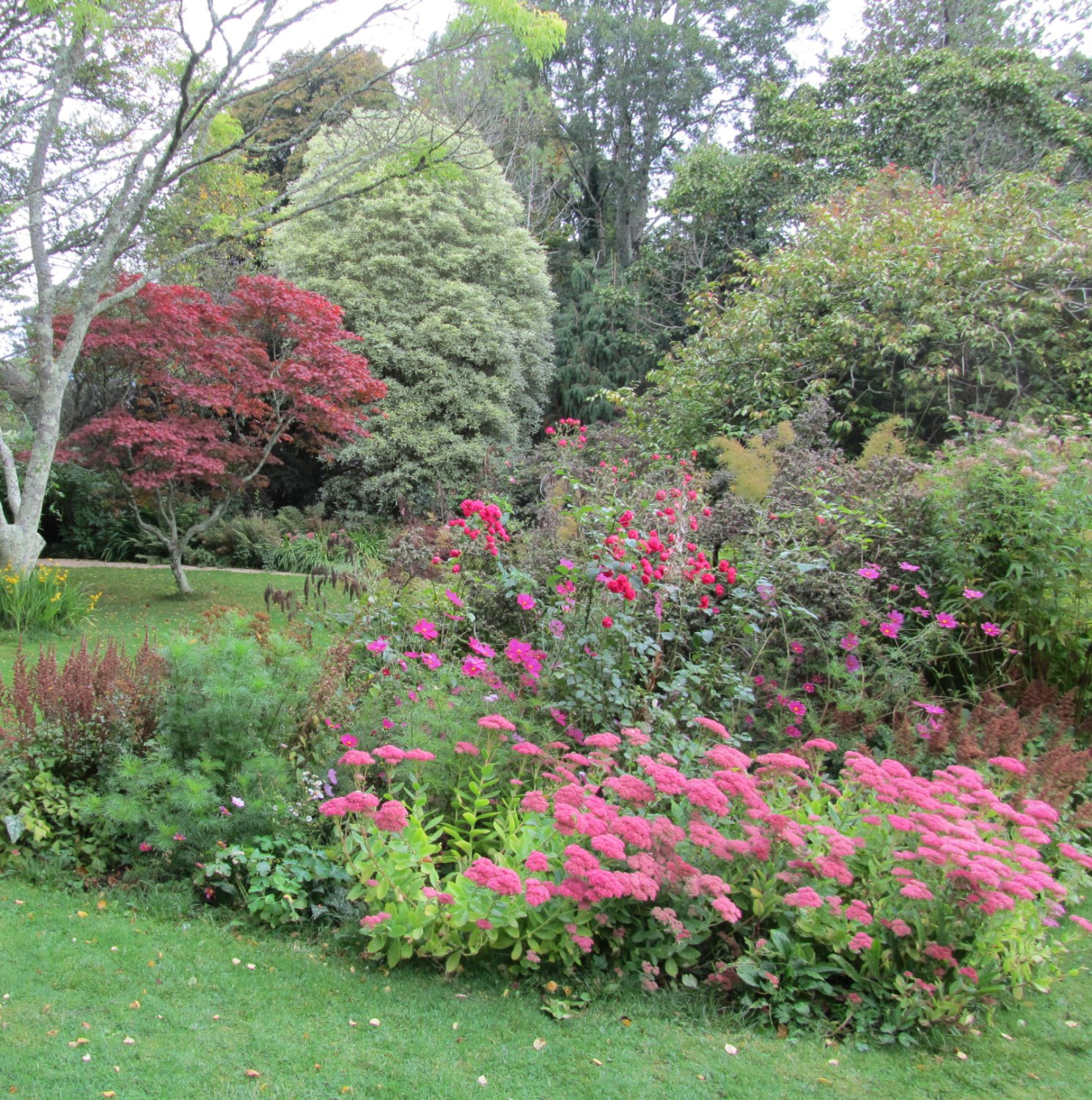 Jigsaw Puzzle 121 Pieces Mount Usher Gardens Jigidi jigsaw-puzzle-121-pieces-mount-usher-gardens-jigidi