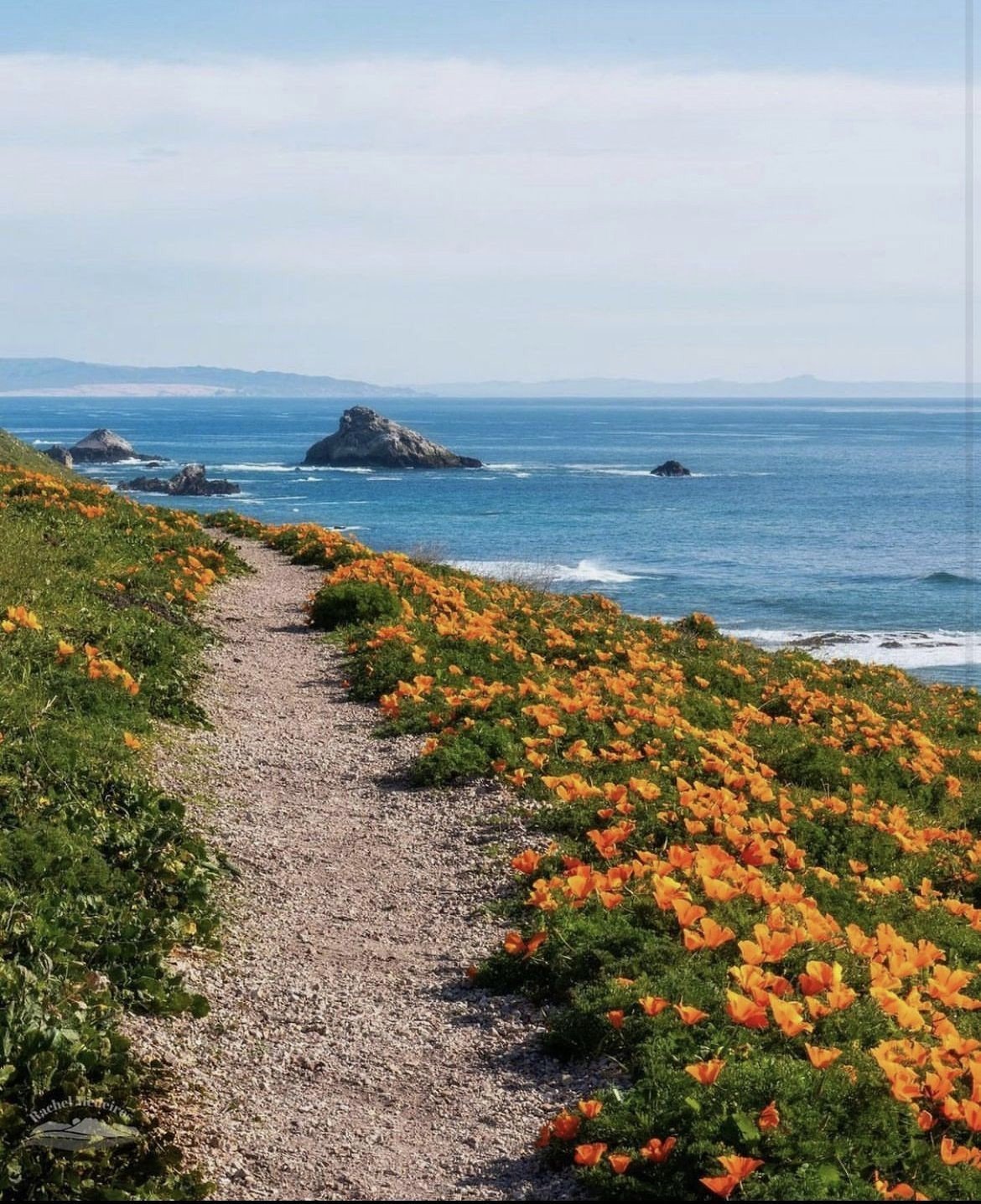 Solve A scenic view along the California Coastal Trail, jigsaw puzzle ...