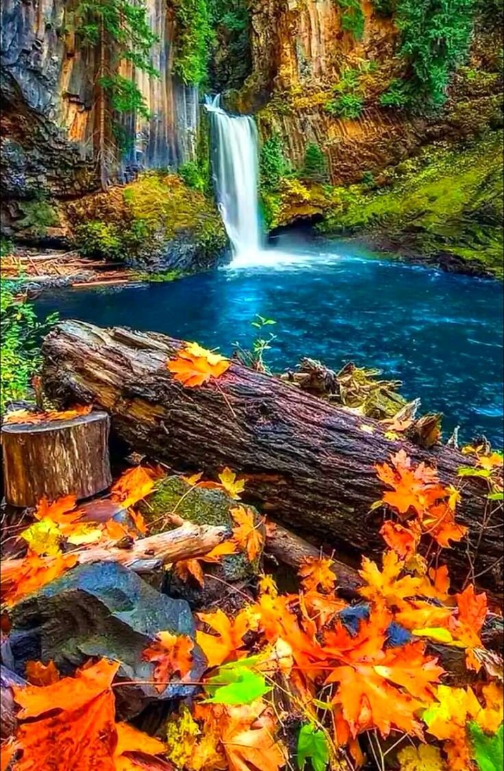 Solve Autumn waterfall. jigsaw puzzle online with 77 pieces