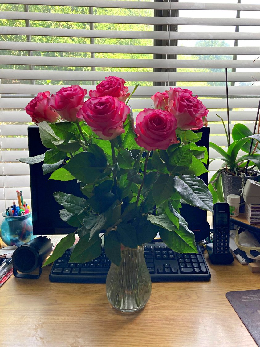 solve-roses-for-my-wife-jigsaw-puzzle-online-with-12-pieces