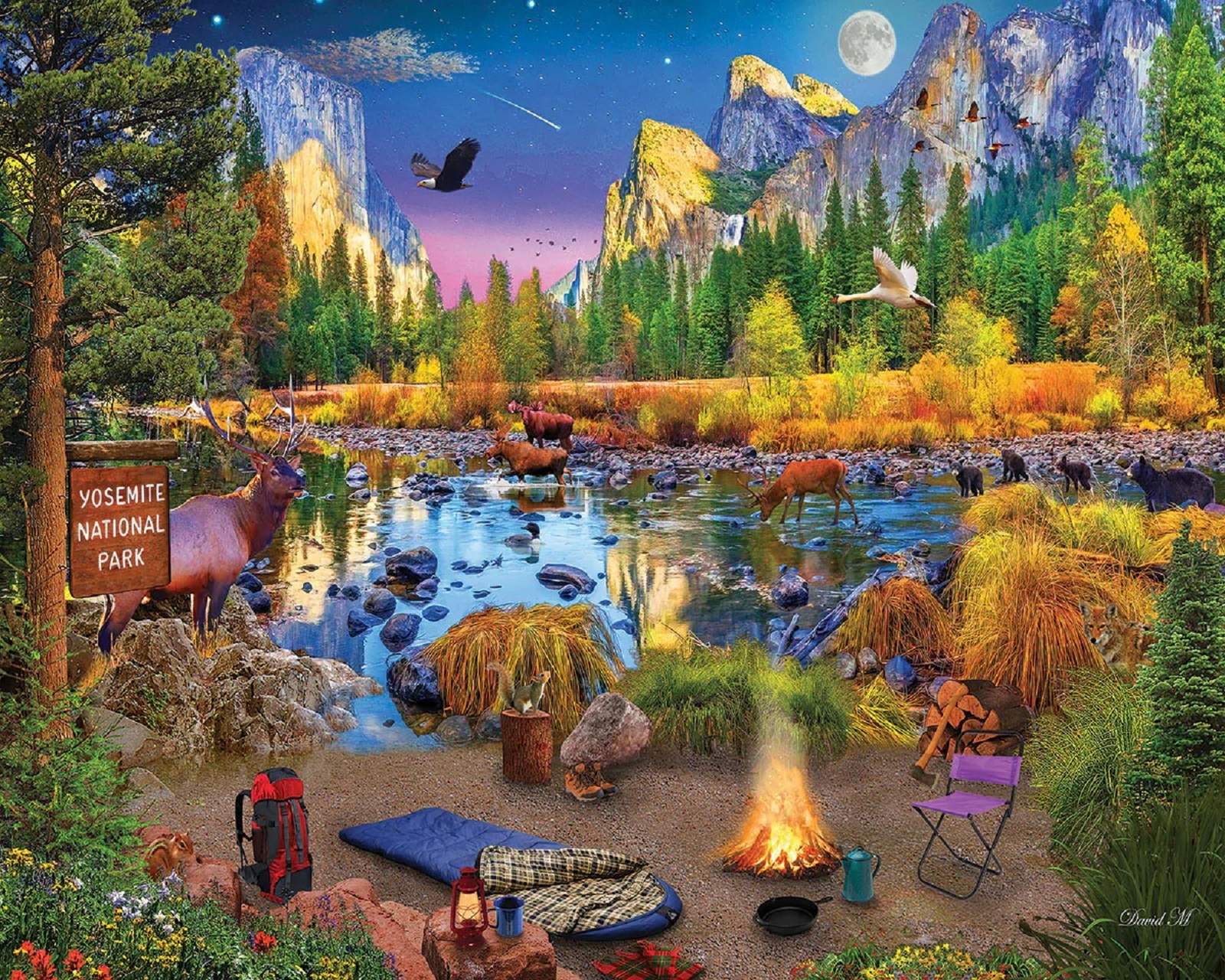 Solve Bivouac) jigsaw puzzle online with 572 pieces