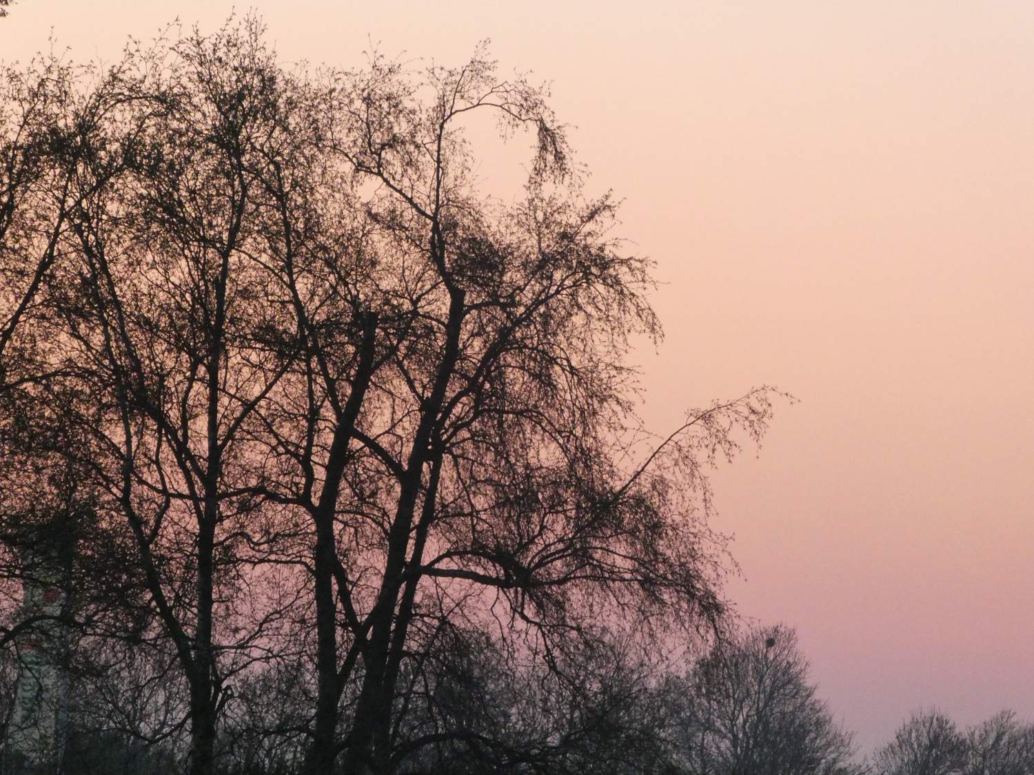 Solve Sundown in early spring, April jigsaw puzzle online with 80 pieces