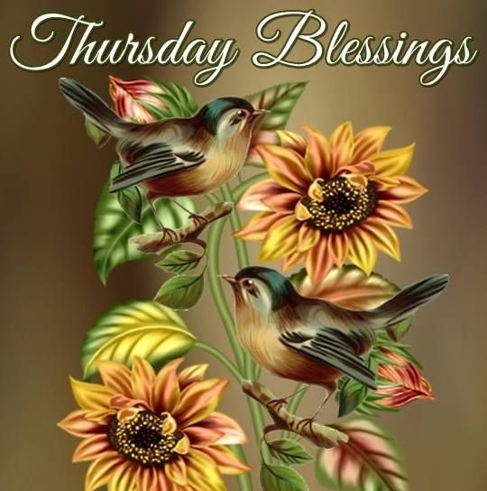 Solve Good Morning - Thursday Blessings! jigsaw puzzle online with 64 pieces