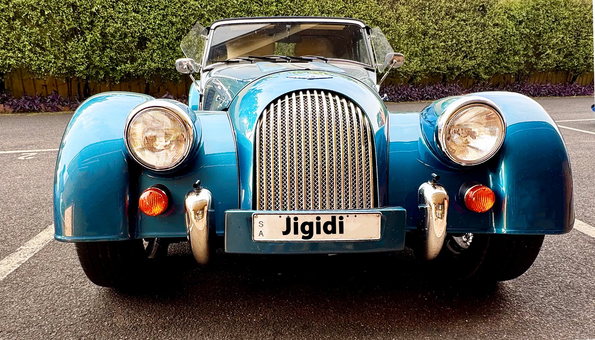 Puzzled Morgan Solve Morgan Blue : Green jigsaw puzzle online with 91 pieces