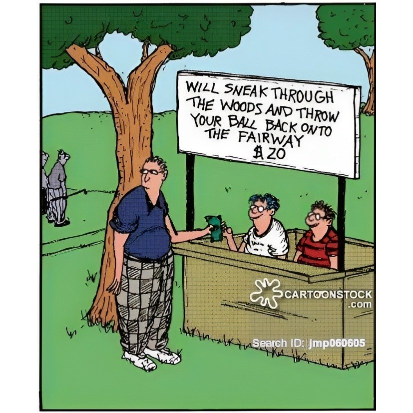 Solve Cheat ) jigsaw puzzle online with 16 pieces