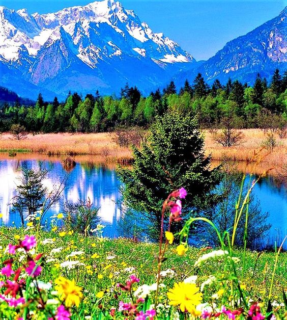 Solve Landscape jigsaw puzzle online with 56 pieces