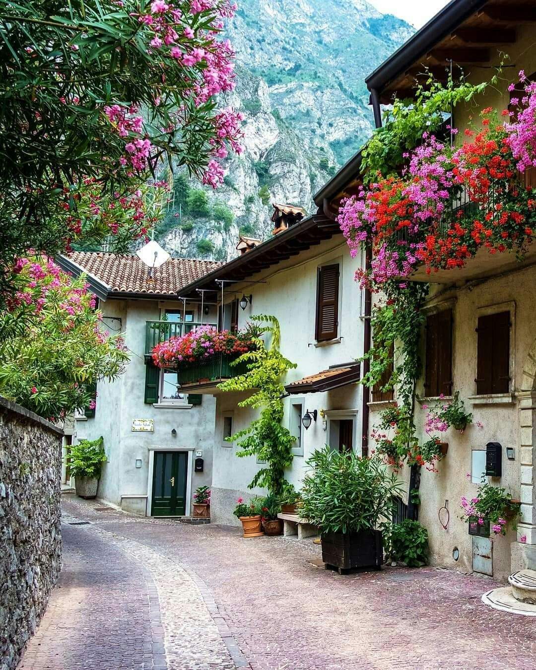 Solve rue fleurie jigsaw puzzle online with 120 pieces