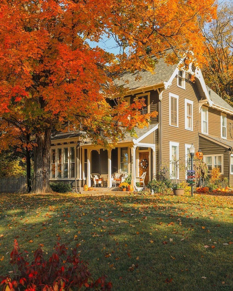 Solve Autumn colors jigsaw puzzle online with 120 pieces