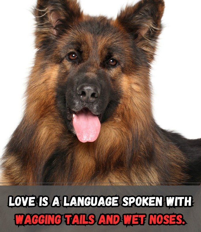 solve-love-is-jigsaw-puzzle-online-with-72-pieces