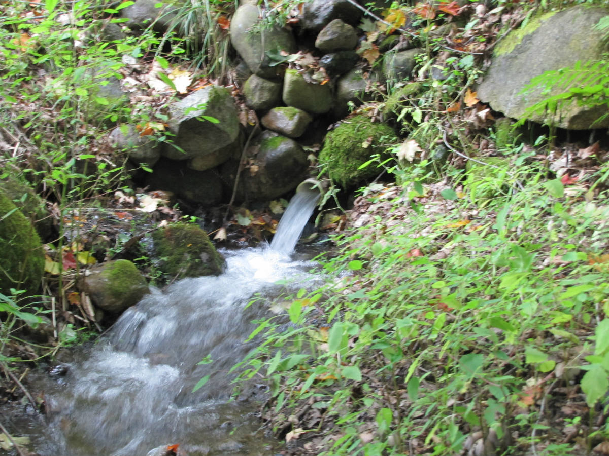 Fresh Water Spring Solve Fresh Water Spring jigsaw puzzle online with 48 pieces